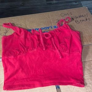 a small red Hollister crop too
